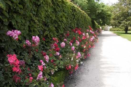 Pict0827.jpg