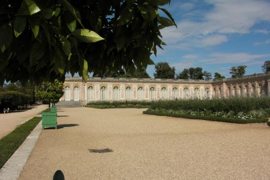 Pict0968.jpg