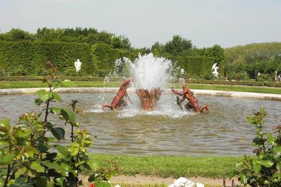 Pict0716.jpg