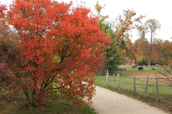 Pict1031.jpg