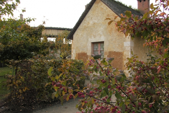 Pict1038.jpg