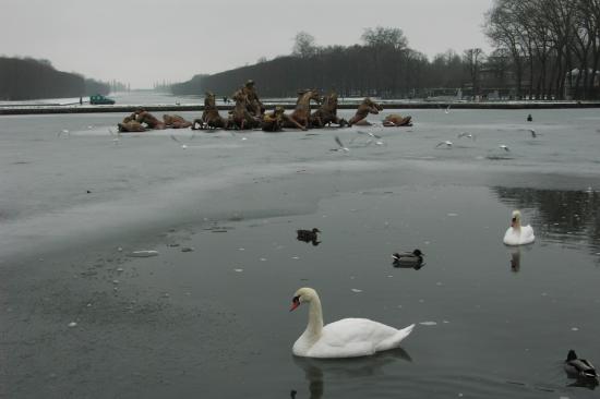 Pict1078.jpg