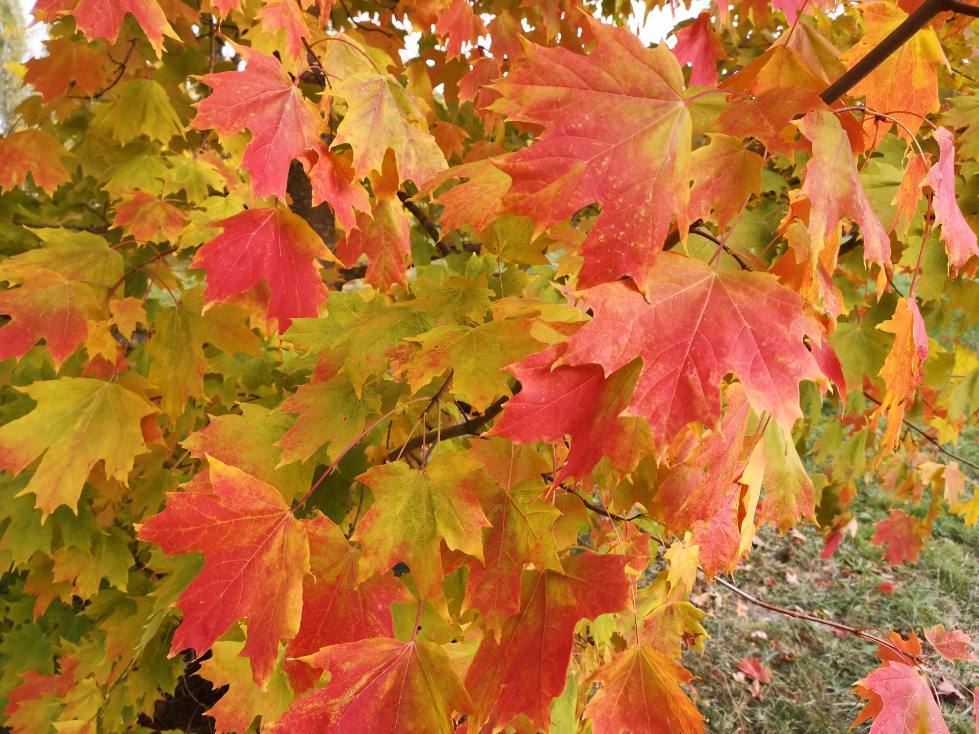 Img 20210113 143018