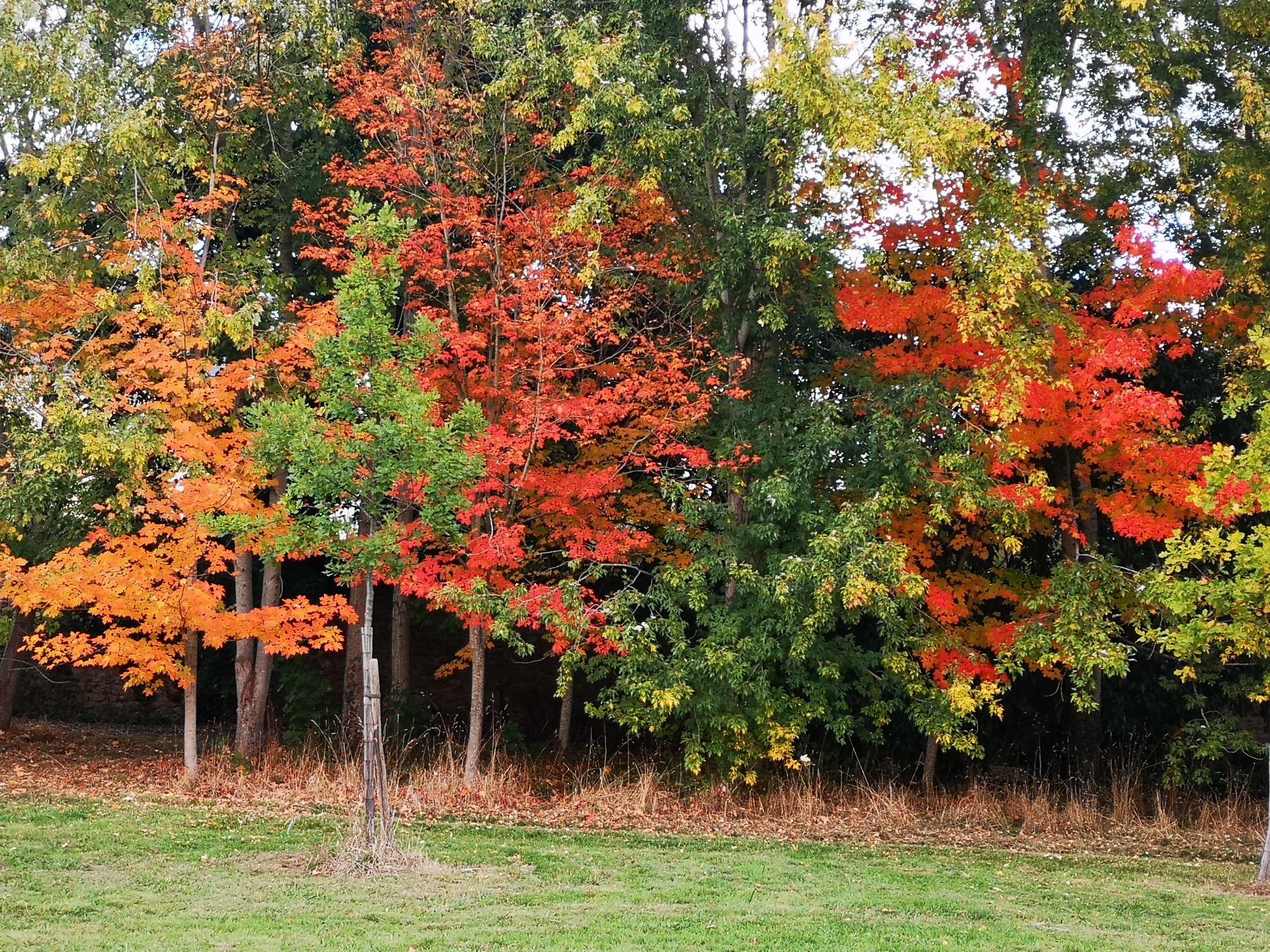 Img 20210113 144752