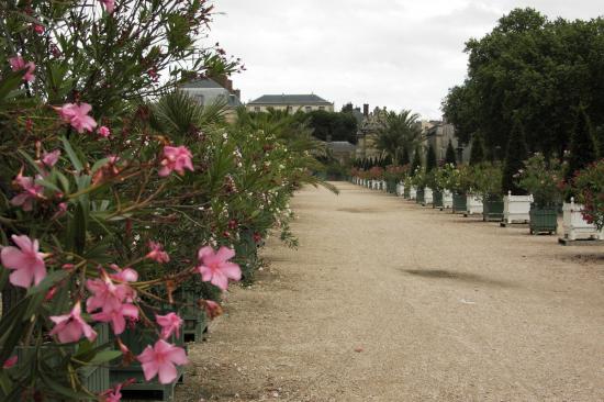 pict0900.jpg